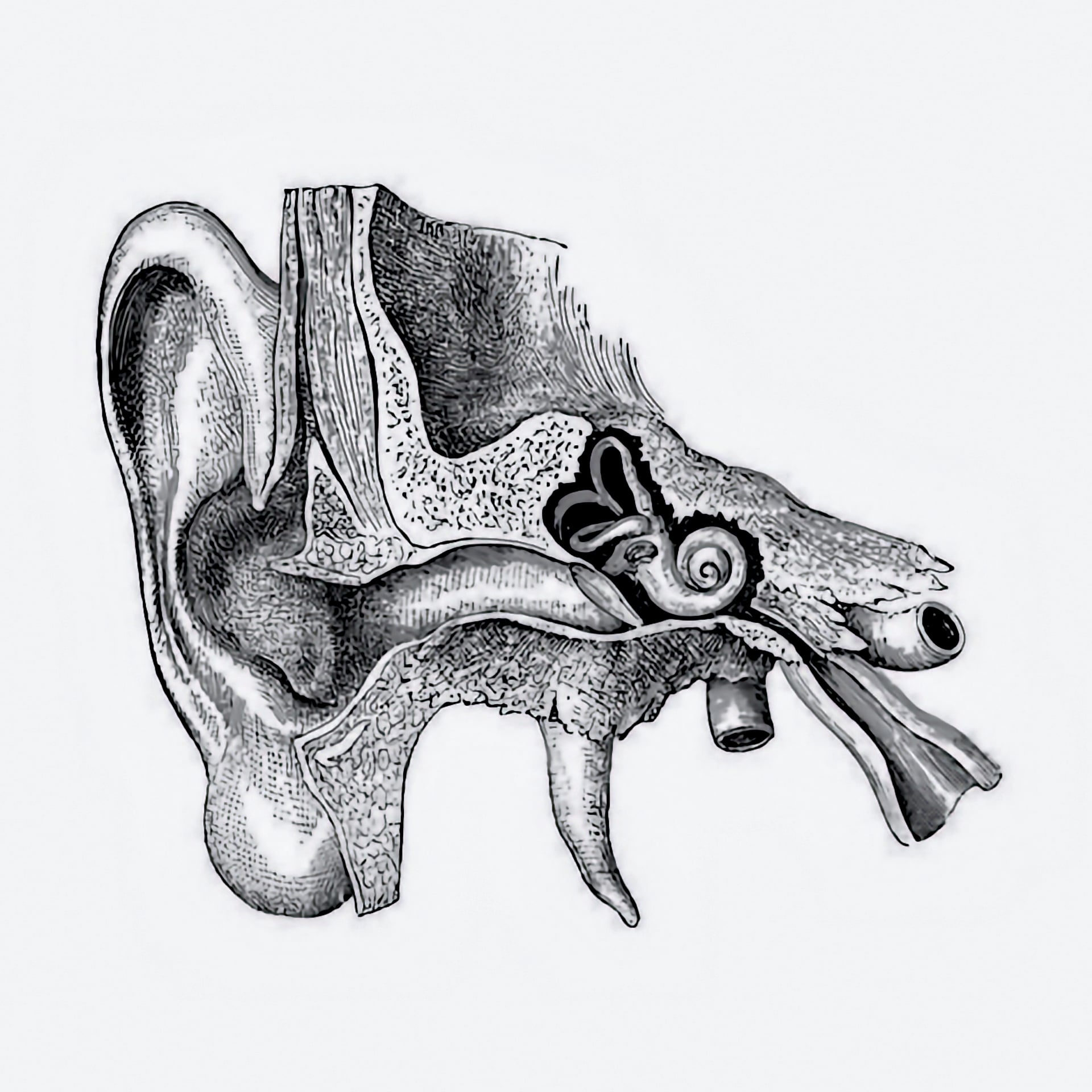 The Physics Of Sound